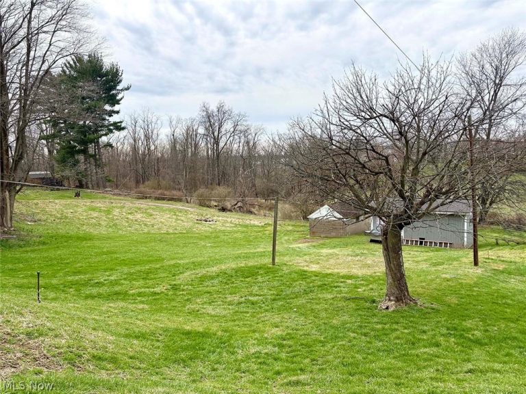 331 Saint Clair Avenue, Cadiz, OH - Photo 6