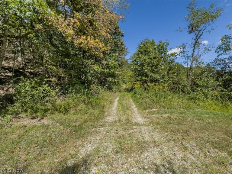 Brewer Road, Cadiz, OH - Photo 3