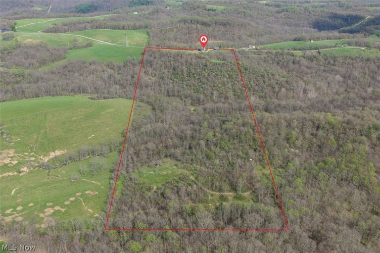 81910 Ourant Road, Cadiz, OH - Photo 6