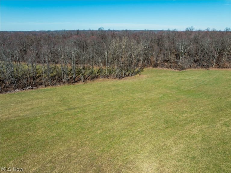 Burrier Road, Jewett, OH - Photo 3