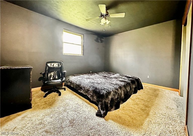 128 Shaffer Lane, New Cumberland, WV - Photo 8