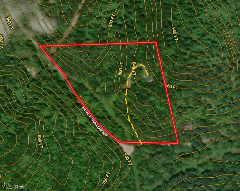 505 Back Run Road, Philo, OH - Photo 3