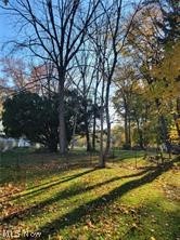 V/L EAST Avenue, Elyria, OH - Photo 8