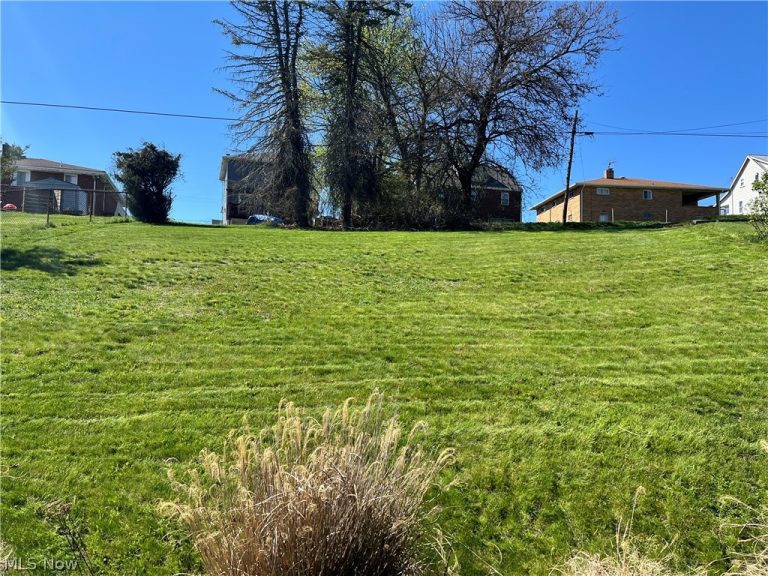 339 Garfield, Steubenville, OH - Photo 4