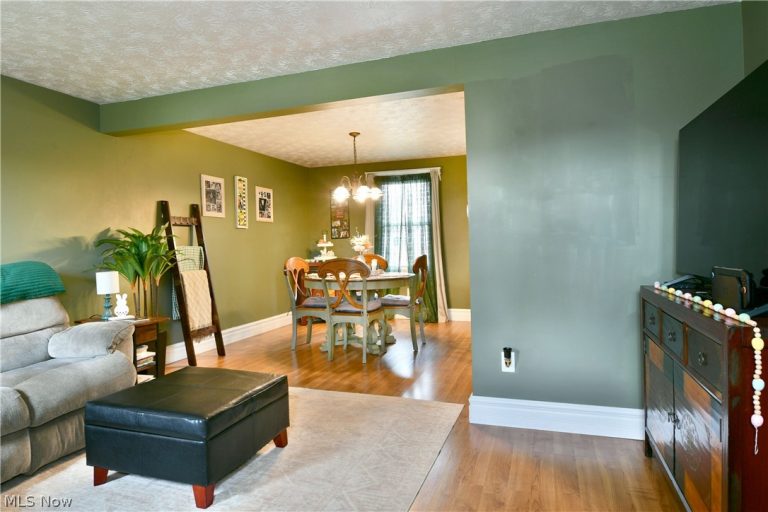 353 Stahl Avenue, Cortland, OH - Photo 8