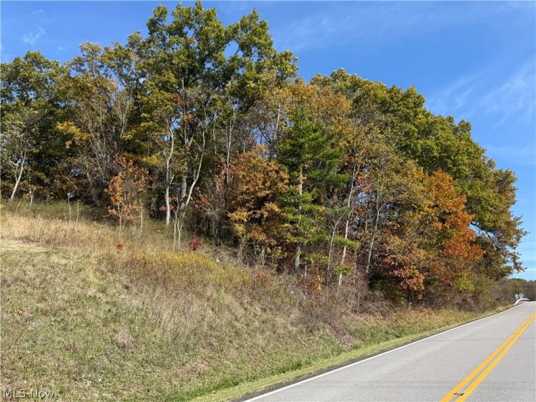 State Route 646, Richmond, OH - Photo 3