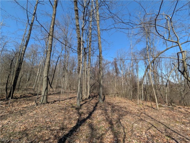 Township Road 289, Hammondsville, OH - Photo 6