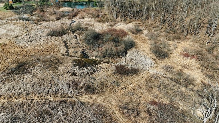 V/L Granger Road, Medina, OH - Photo 6