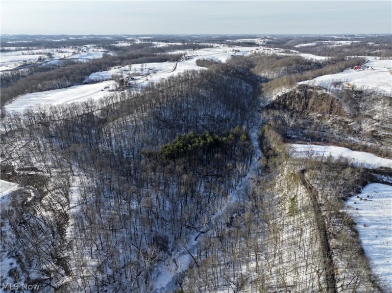 Tract 2 MORRS RIDGE Road, Woodsfield, OH - Photo 6