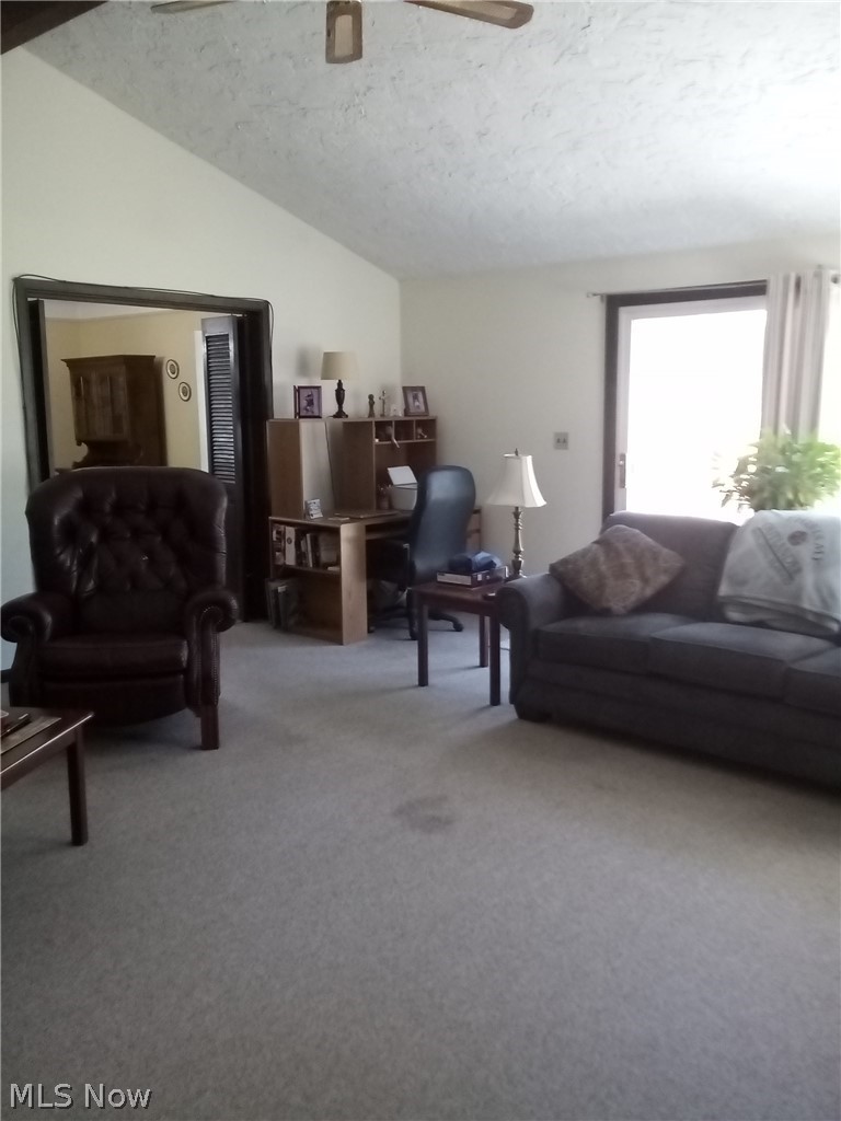 421 Harris Road, Richmond Heights, OH - Photo 5