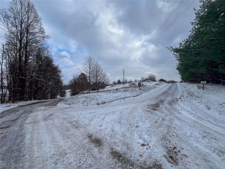 87085 Crall Road, Scio, OH - Photo 8