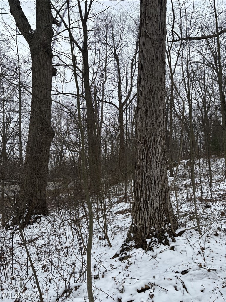 Oh-93, Dundee, OH - Photo 6