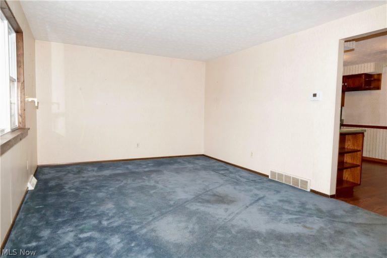 693 Idlewood Avenue, Sheffield Lake, OH - Photo 8