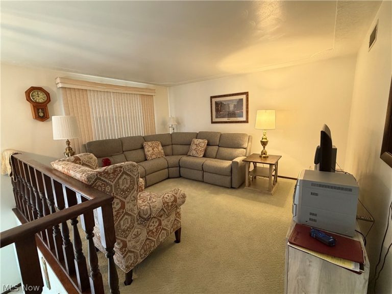 220 Bantam Ridge Court, Wintersville, OH - Photo 6