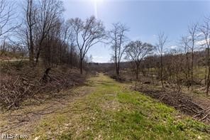 909 Lisbon Road, Salem, OH - Photo 4