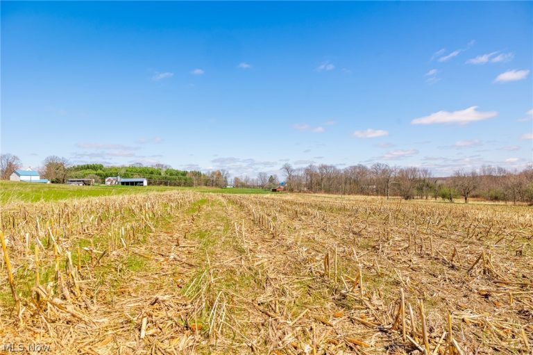 9050 Freeman Road, Lisbon, OH - Photo 3