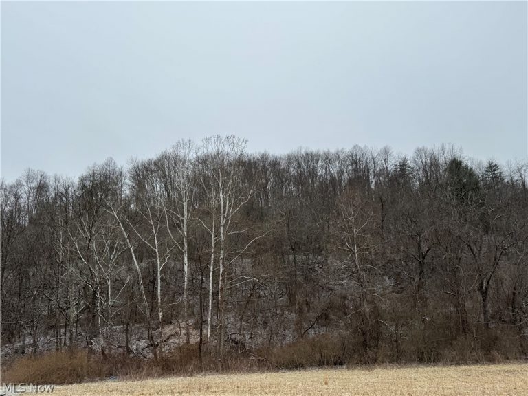 35515 State Route 800, Sardis, OH - Photo 6
