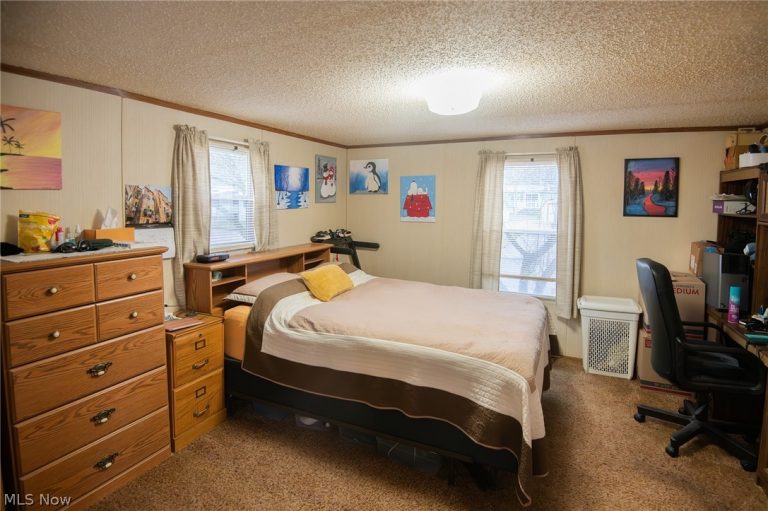 708 Country Pines Drive, Warren, OH - Photo 8