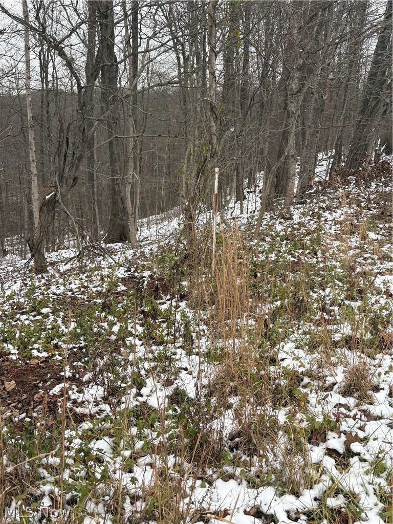 State Rt 555, Cutler, OH - Photo 3