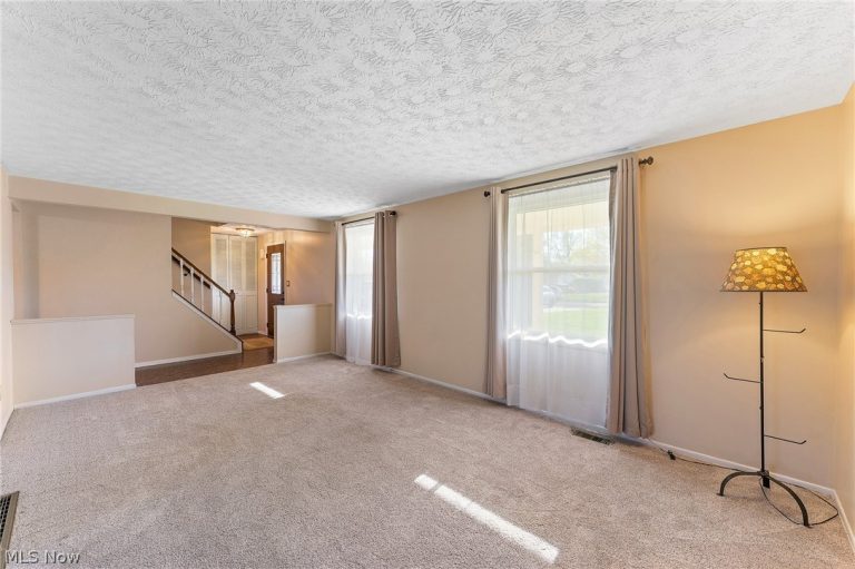 2085 Woodland Trace Street, Austintown, OH - Photo 4