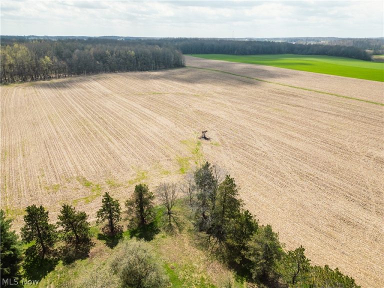 Steiner Road, Creston, OH - Photo 3