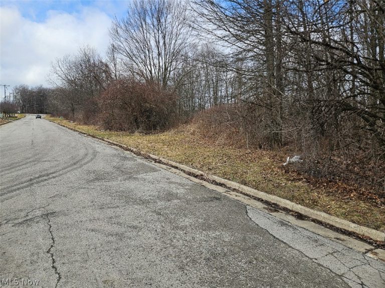Ashley Circle, Austintown, OH - Photo 4