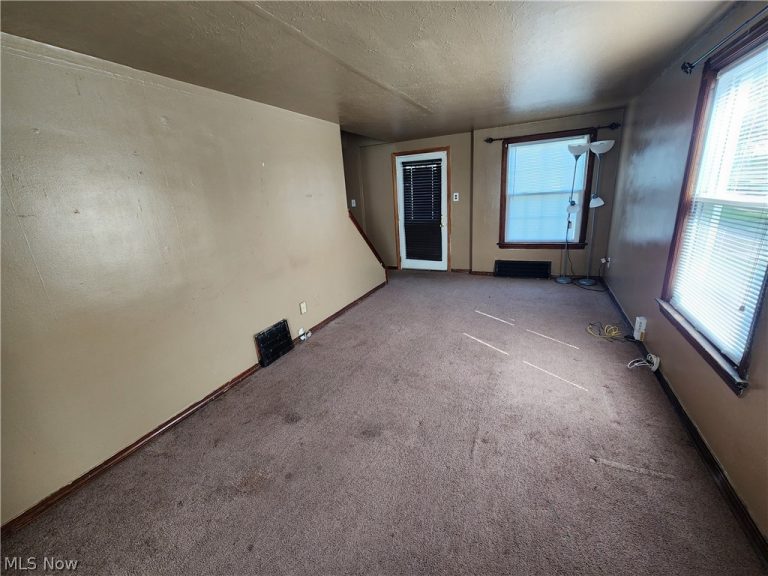 19850 Ormiston Avenue, Euclid, OH - Photo 4