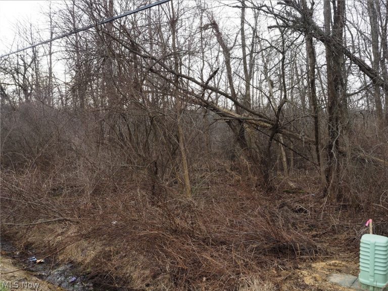 V/L 2 Bartholomew Road, Chagrin Falls, OH - Photo 2