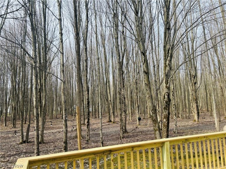 6453 Brandywine Drive, Andover, OH - Photo 6