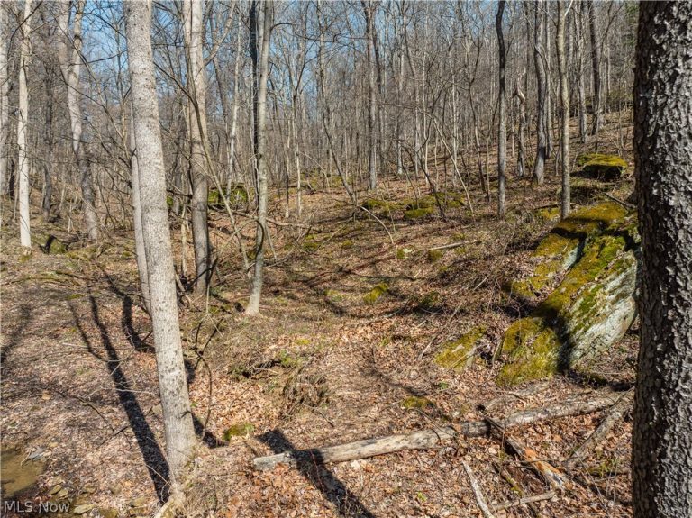 Township Road 34, Killbuck, OH - Photo 4