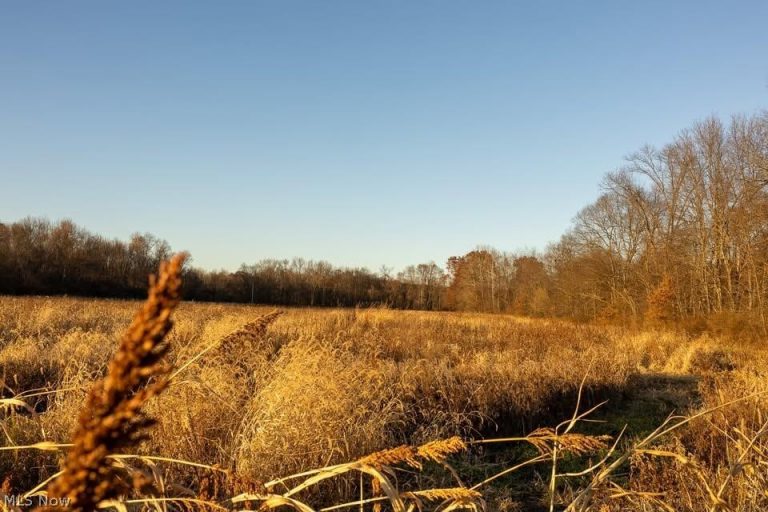 Lambert, Roseville, OH - Photo 8