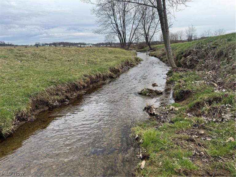 Township Road 613, Fredericksburg, OH - Photo 7