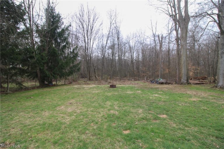 3628 Hopkins Road, Youngstown, OH - Photo 4