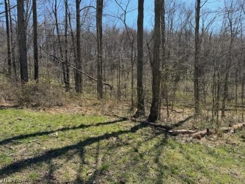True Road, Uhrichsville, OH - Photo 8