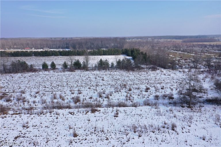 Maple Road, Jefferson, OH - Photo 8