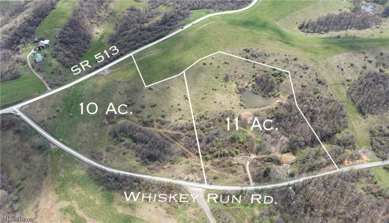 11 ac Whiskey Run Road, Quaker City, OH, 43773