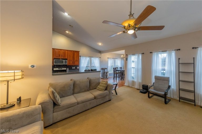 10218 Ridgeview Court, Streetsboro, OH - Photo 5