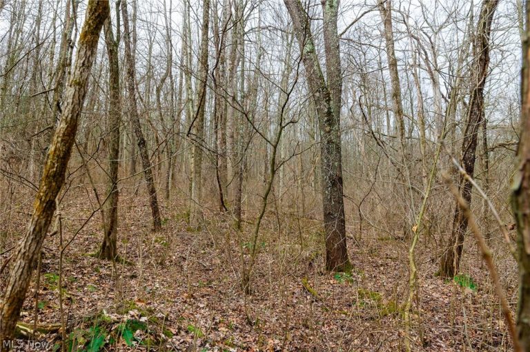 10445 Shannon Road, Frazeysburg, OH - Photo 4