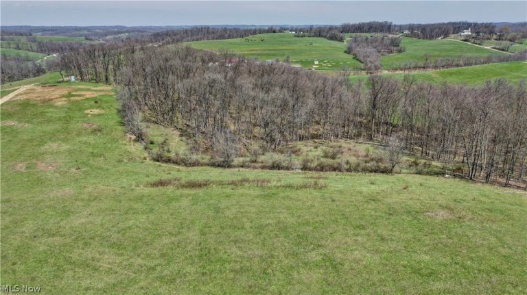 Township Road 127, Millersburg, OH - Photo 8