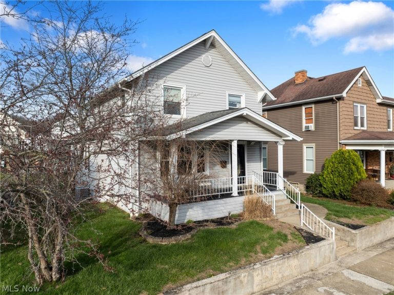 249 42nd Street, Shadyside, OH - Photo 2