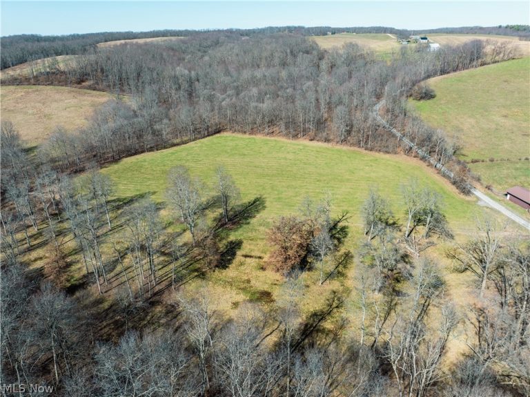 Eckley Road, Jewett, OH, 43986