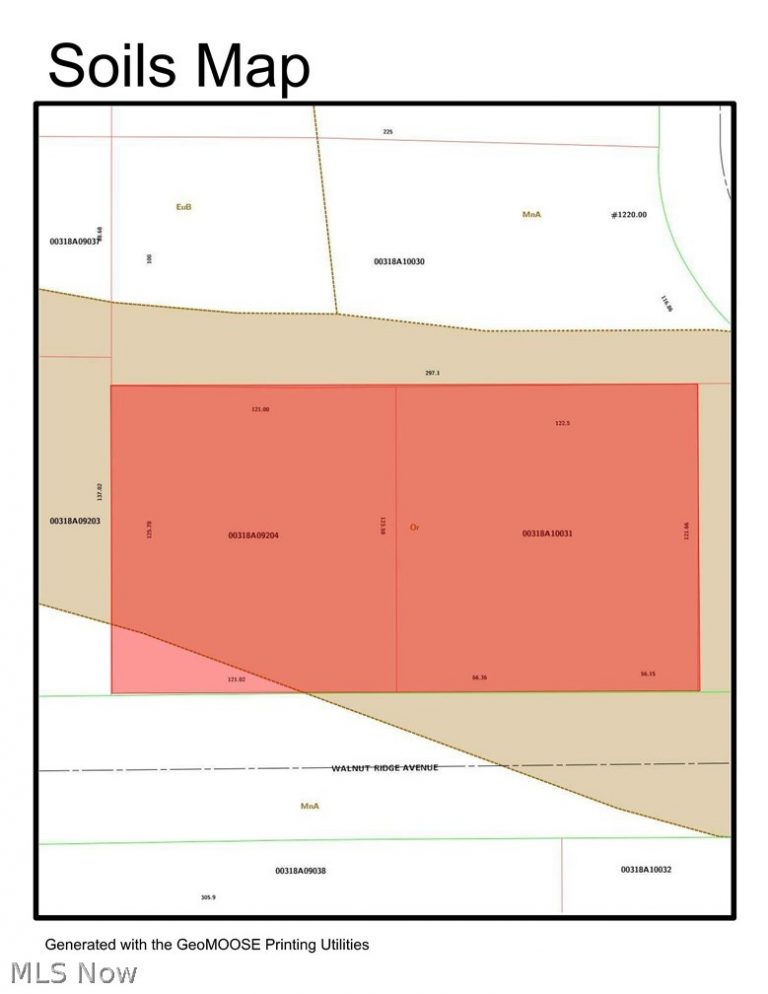 V/L 0.69 AC Walnut Ridge Avenue, Brunswick, OH - Photo 4