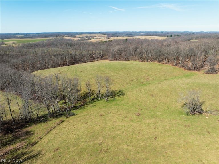 91100 Eckley Road, Jewett, OH, 43986