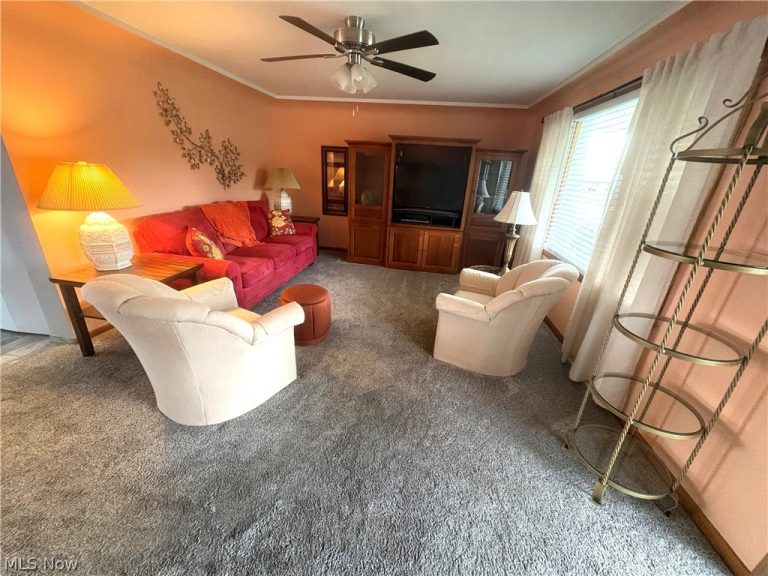 511 Edison Street, Struthers, OH - Photo 3