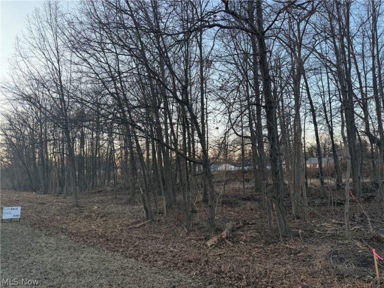 Liberty Avenue, Vermilion, OH, 44089