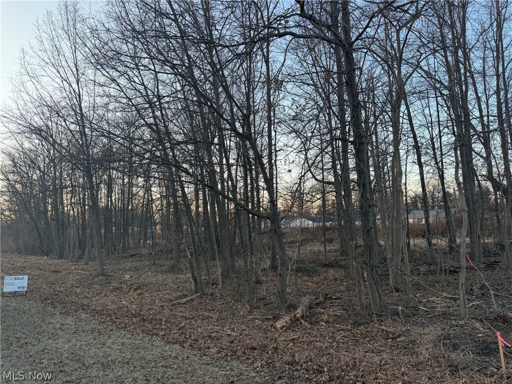 Liberty Avenue, Vermilion, OH