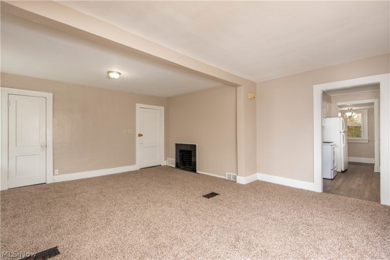 231 Windsor Street, Akron, OH - Photo 4