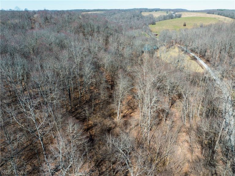 Eckley Road, Jewett, OH - Photo 3