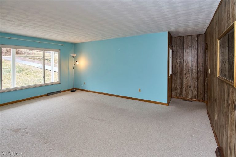 613 Court Street, Harrisville, WV - Photo 8