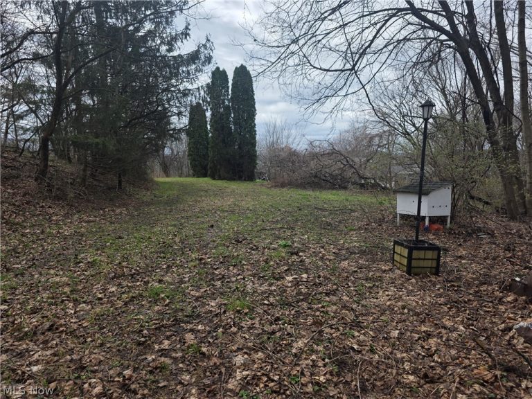 2031 Pickering Street, East Liverpool, OH - Photo 4